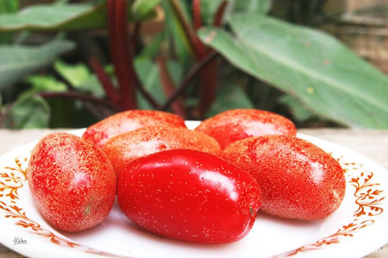 Loại cây quen thuộc ở Việt Nam, giá rẻ như cho nhưng ra nước ngoài có giá tới 3,5 triệu đồng/cây- Ảnh 2.