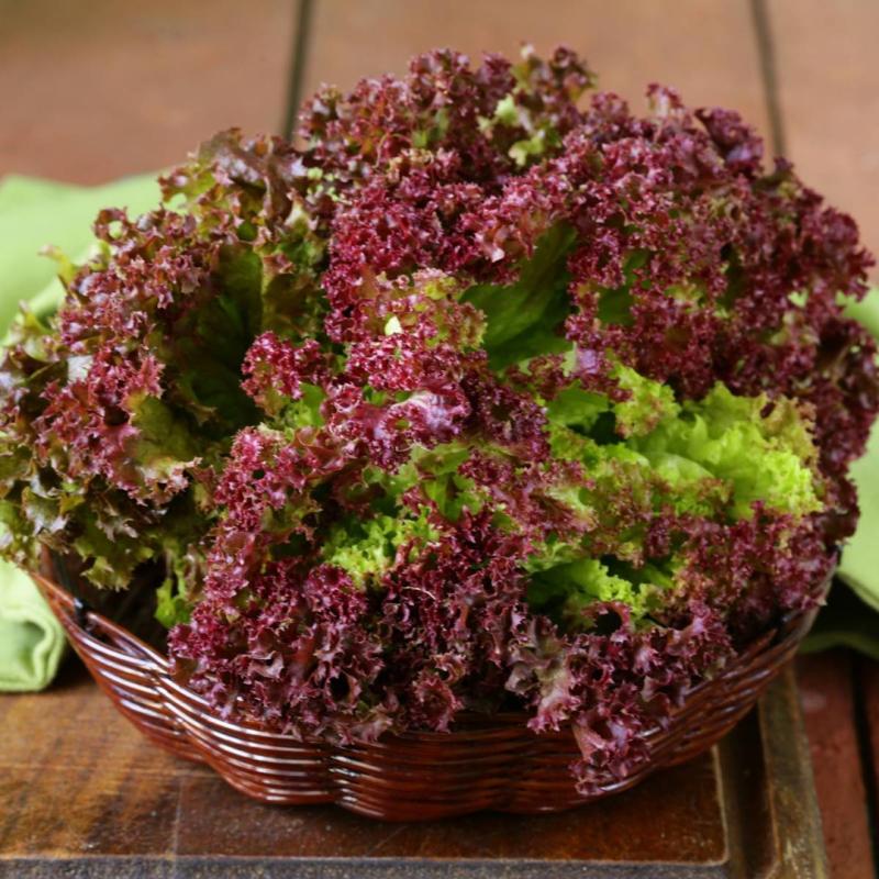Loại rau được mệnh danh “tốt nhất thế giới” ở Việt Nam lại rẻ bèo, bán đầy chợ- Ảnh 2.