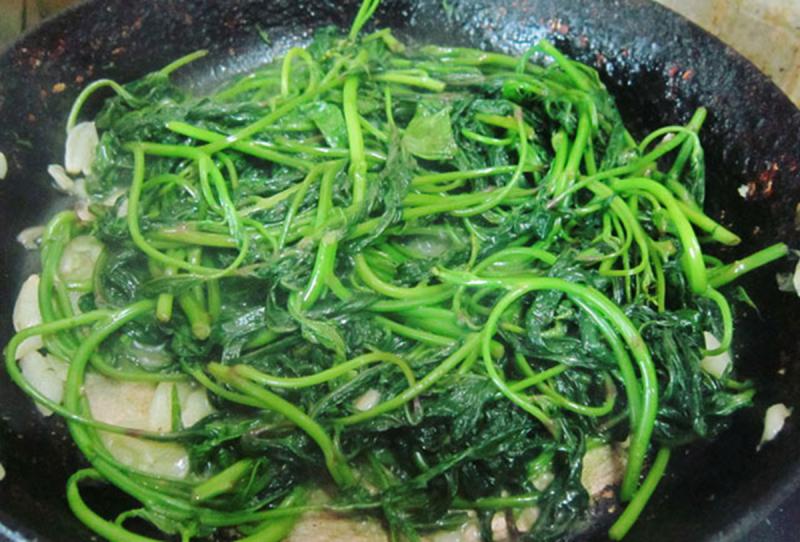 Loại rau xưa người Việt hay cho lợn ăn, nay "trời Tây" bán hơn 1 triệu/kg- Ảnh 3.