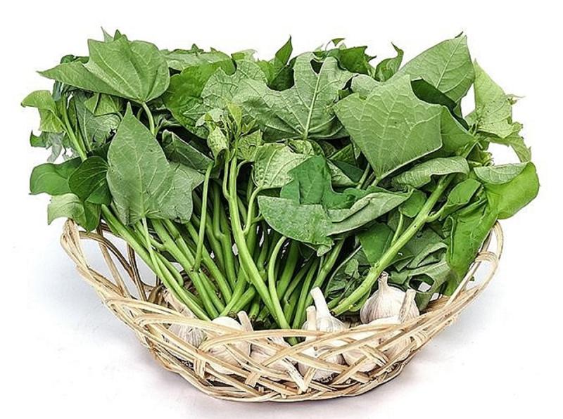 Loại rau xưa người Việt hay cho lợn ăn, nay "trời Tây" bán hơn 1 triệu/kg- Ảnh 2.