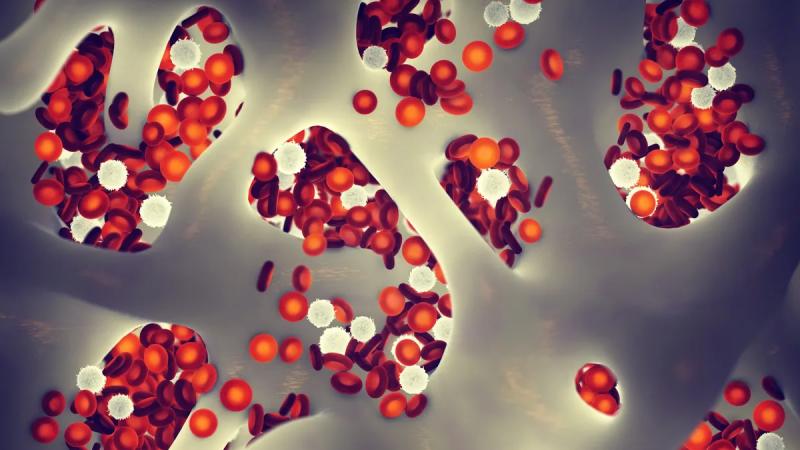 Người đàn ông được chữa khỏi HIV sau khi ghép tế bào gốc- Ảnh 3.