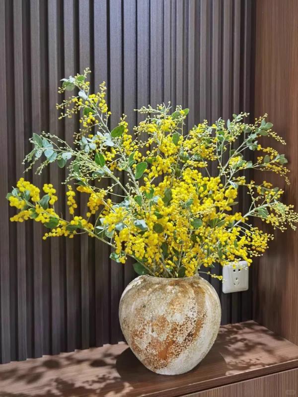 Vì sao giới nhà giàu lại chi hàng triệu mua "nàng thơ nước Úc" về chưng Tết? Câu trả lời nằm ở 4 chữ "phú quý trường cửu"- Ảnh 22.