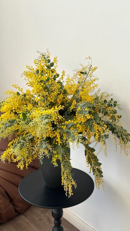 Vì sao giới nhà giàu lại chi hàng triệu mua "nàng thơ nước Úc" về chưng Tết? Câu trả lời nằm ở 4 chữ "phú quý trường cửu"- Ảnh 26.
