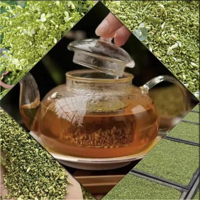 Loại cây tượng trưng cho may mắn và tài lộc, trồng trong nhà còn có được vị thuốc trị "bách bệnh"- Ảnh 3.