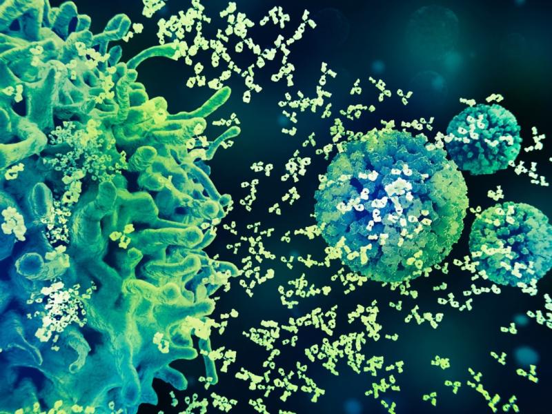 Phòng ngừa HPV đúng cách: Cần tuân thủ phác đồ được FDA và EC phê duyệt- Ảnh 1.