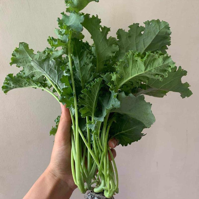 Mỹ đánh giá 3 loại rau cực tốt, là "ông hoàng phòng chống ung thư"- Ảnh 1.