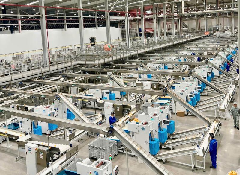 Cam 17.5° Nongfu Spring nổi tiếng tại Trung Quốc sắp về Việt Nam- Ảnh 3.