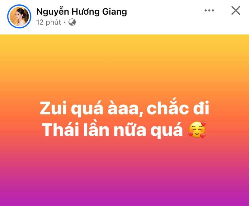 Hương Giang, Tiểu Vy và dàn sao mừng Việt Nam vô địch SEA Games 33- Ảnh 1.