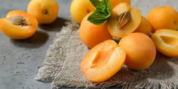 Vị thuốc của mùa Xuân từ loại quả "tốt nhất thế giới", Việt Nam trồng bạt ngàn- Ảnh 3.