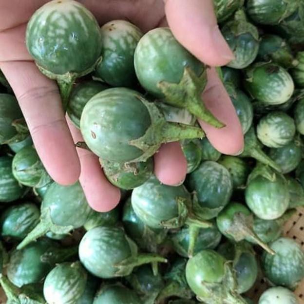 Loại quả mọc dại có vị đắng đặc trưng nay thành đặc sản, đặc biệt ngon khi nấu cùng thịt ba chỉ- Ảnh 3.