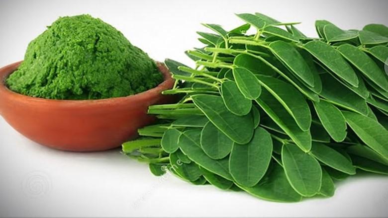"Đặc sản xanh" từ cây dại mọc bờ bụi, được săn lùng bởi hương vị và giá trị dinh dưỡng cao- Ảnh 4.