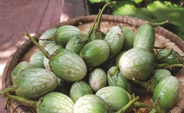Loại quả mọc dại có vị đắng đặc trưng nay thành đặc sản, đặc biệt ngon khi nấu cùng thịt ba chỉ- Ảnh 7.