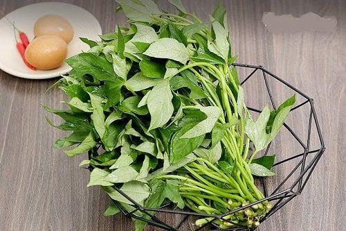 3 loại rau dân dã của người Việt, 