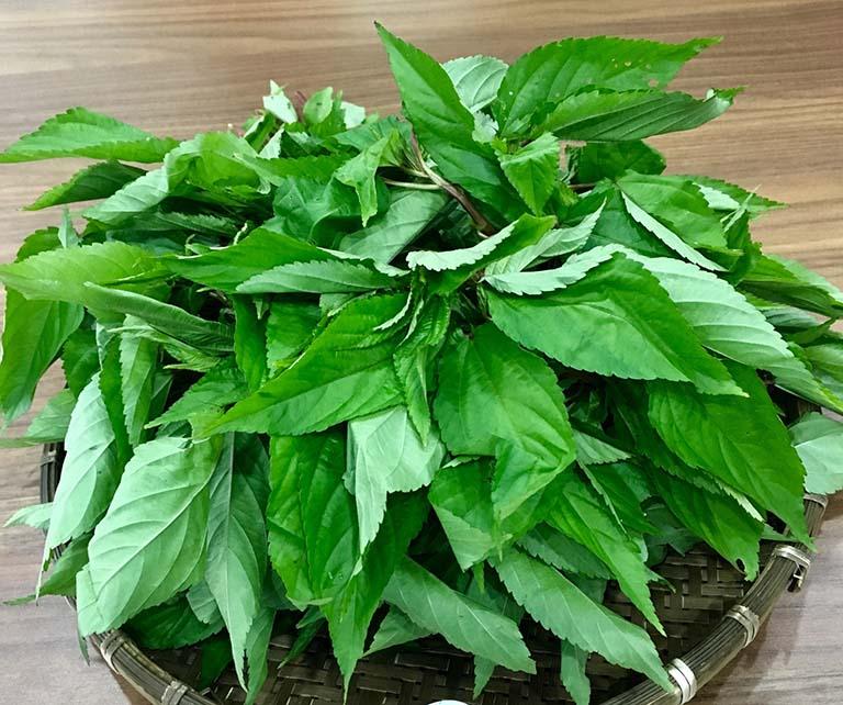 Loại rau được ví như “nhân sâm xanh”, người Nhật rất thích: Mọc đầy Việt Nam nhưng không ít người bỏ phí- Ảnh 1.