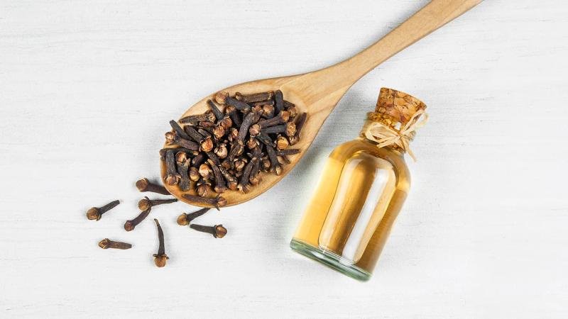 Chuột rất sợ 1 loại gia vị trong bếp: Để quanh nhà, chuột chẳng dám bén mảng- Ảnh 4.