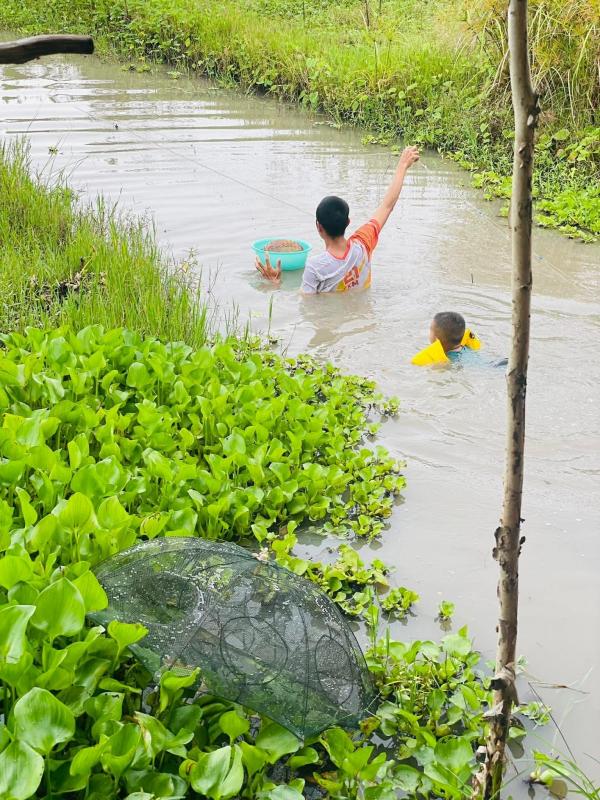 Từng sống trong căn phòng trọ chật chội ở thành phố, vợ chồng trẻ quyết định về quê để con có tuổi thơ trọn vẹn- Ảnh 4.