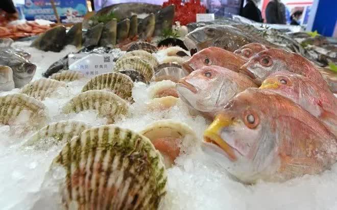 Thực phẩm giàu canxi - nền tảng cho hệ xương chắc khỏe- Ảnh 1.