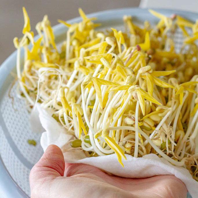 Chợ Việt quanh năm đều sẵn loại rau là "nữ hoàng protein" trong giới thực vật, vài nghìn cả túi nhưng "tim yêu, mỡ sợ"- Ảnh 1.