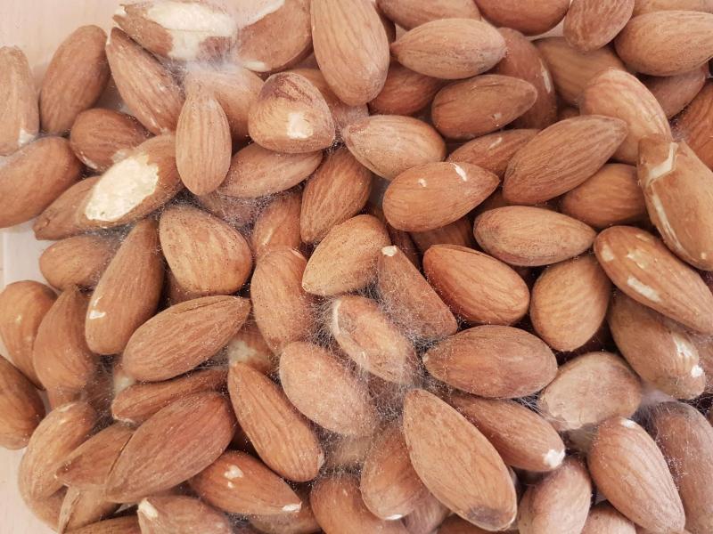 Bệnh gan sợ gì nhất? Bác sĩ tiết lộ 4 loại hạt ăn nhiều "phá gan" chẳng kém gì bia rượu- Ảnh 1.