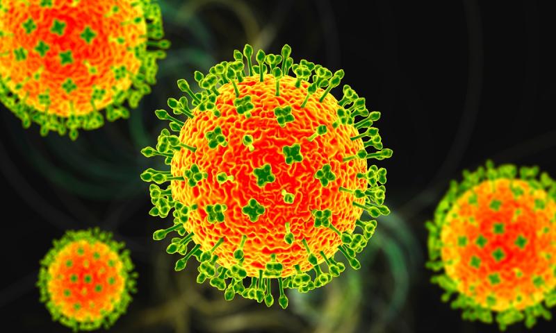 Xuất hiện ổ dịch virus Nipah tại Ấn Độ, một số nước châu Á nâng mức cảnh báo- Ảnh 2.