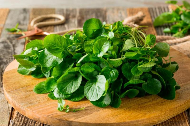 Có 1 loại rau vừa “soán ngôi” rau bina để trở thành “ông hoàng rau xanh”, vừa giảm cân lại giúp trẻ lâu, ra chợ nào hỏi cũng có- Ảnh 2.