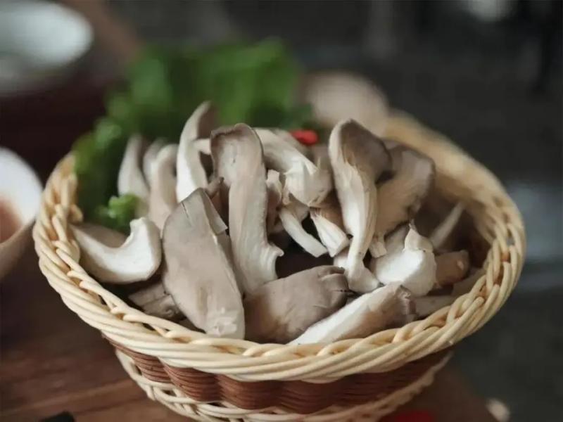 6 loại thực phẩm là thủ phạm "thúc đẩy ung thư", nhiều người vẫn vô tình ăn tới 5 loại- Ảnh 4.
