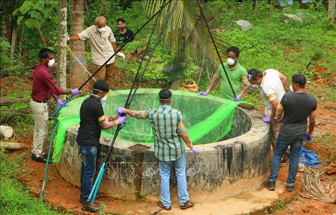 Cuộc đua khống chế ổ dịch từ virus Nipah ở Ấn Độ và nỗi ám ảnh y tế toàn cầu- Ảnh 1.