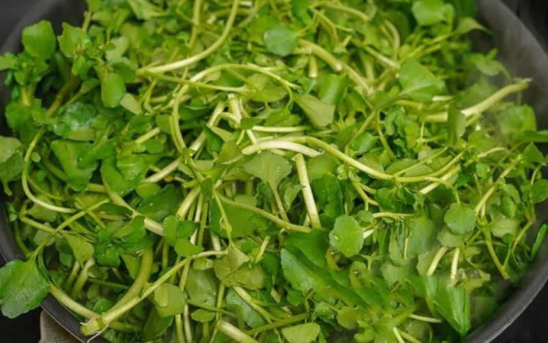 Có 1 loại rau vừa “soán ngôi” rau bina để trở thành “ông hoàng rau xanh”, vừa giảm cân lại giúp trẻ lâu, ra chợ nào hỏi cũng có- Ảnh 4.