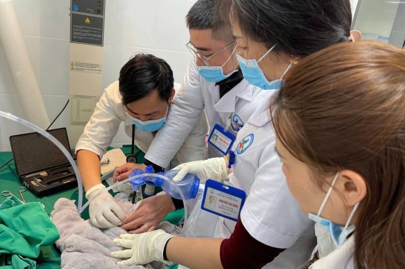 Giành giật sự sống cho trẻ sinh non chỉ nặng 900 gram- Ảnh 1.