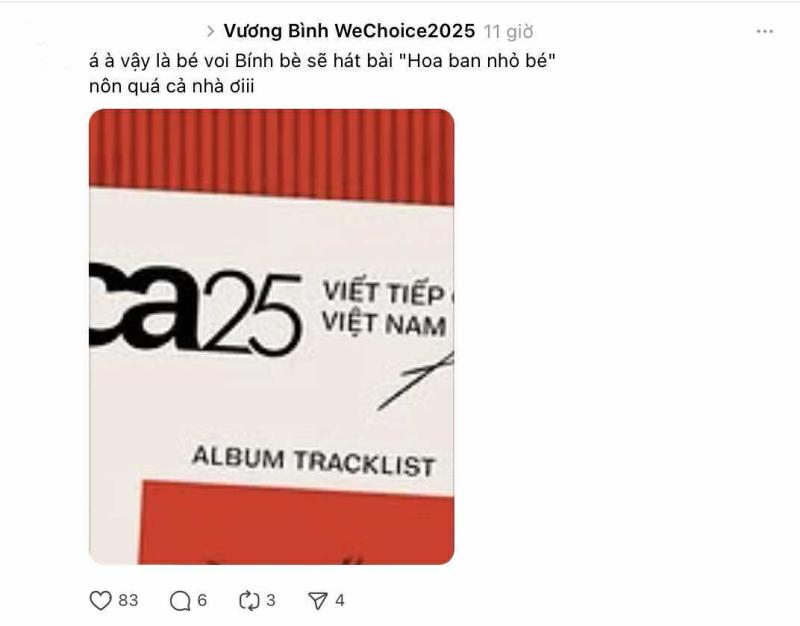Hé lộ tracklist album WeChoice Awards 2025: Loạt tổ hợp đỉnh cao, dân mạng thay nhau “manifest”- Ảnh 5.