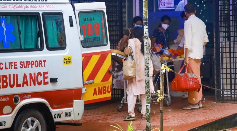 WHO, CDC nói về virus Nipah: Ai có nguy cơ, nguy hiểm đến đâu?- Ảnh 1.