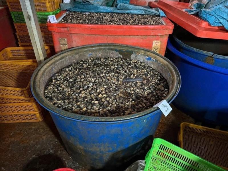 Vụ 3.000 tấn ốc ngâm “thủy tinh lỏng”: Natri silicate tàn phá cơ thể người như thế nào?- Ảnh 1.