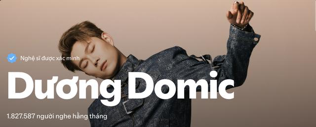 Nghệ sĩ Việt đỉnh nhất Spotify hiện tại: Không phải Sơn Tùng M-TP hay HIEUTHUHAI- Ảnh 7.