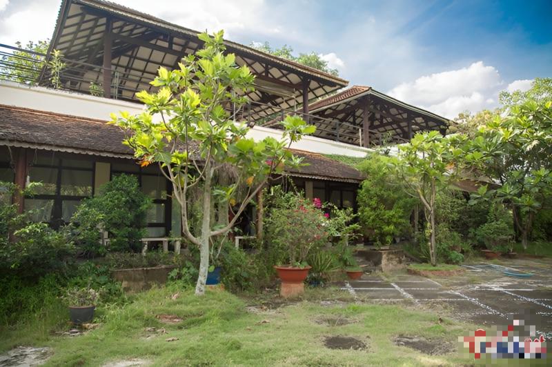 Nữ ca sĩ dùng biệt thự 500 m2 nuôi heo, chó, gà, ngỗng, làm cả sinh nhật cho thú cưng: U70 nhiều bệnh- Ảnh 5.