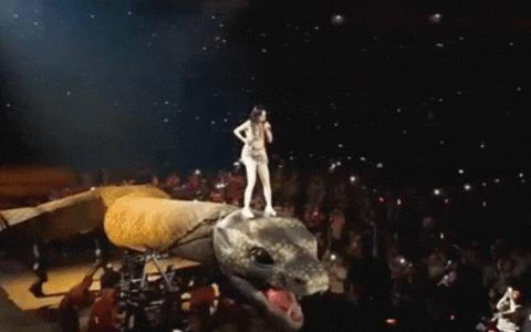 Hàng trăm người yêu cầu Sở Văn hoá - Du lịch dừng concert "vườn lạc thú" 760 tỷ của mỹ nhân này- Ảnh 6.