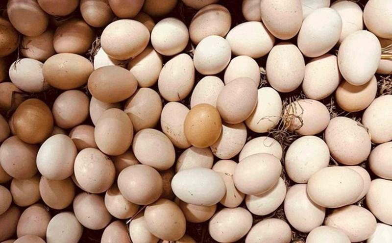 Đi chợ thấy 4 loại trứng này thì giá rẻ mấy cũng đừng mua: ăn vào đau bụng, ngấm ngầm hại thân- Ảnh 1.