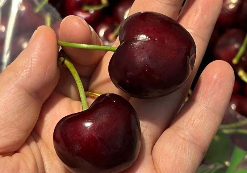 Chọn mua cherry đón Tết 2026: Phương pháp 