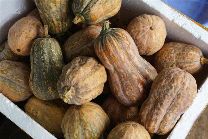 Cảnh báo: 6 loại rau nên tránh mua vì ít dinh dưỡng, thậm chí gây hại sức khỏe, người bán rau cũng không dám ăn- Ảnh 3.
