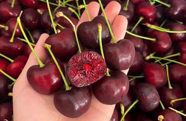 Cherry đang vào mùa giá rẻ: Thấy 3 loại này ngoài chợ, dù giá thấp cũng đừng mua kẻo “tiền mất tật mang”- Ảnh 4.