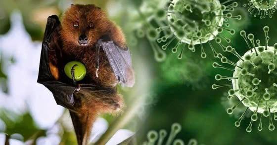 Tiết lộ thêm sự thật về virus Nipah đang gây lo sợ- Ảnh 2.