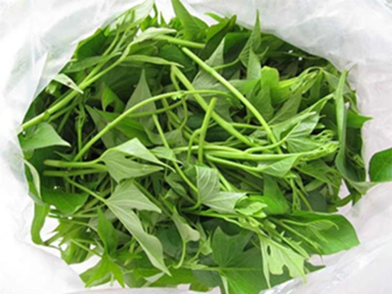 Đừng chỉ ăn củ, lá loại cây này quý như "nhân sâm người nghèo", hễ ra chợ là thấy- Ảnh 1.