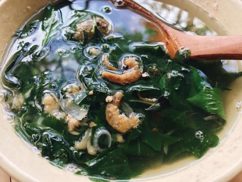 Đừng chỉ ăn quả, lá loại cây này quý như "nhân sâm người nghèo", nhiều người không biết mà ăn- Ảnh 3.