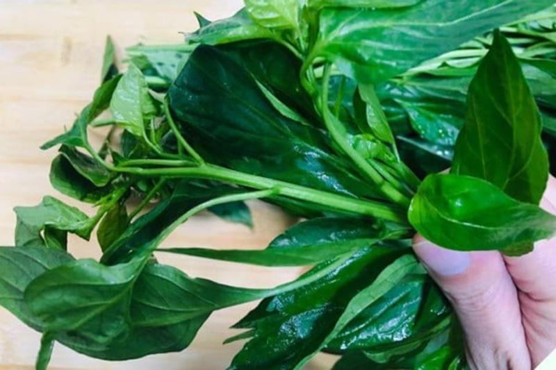 Đừng chỉ ăn quả, lá loại cây này quý như "nhân sâm người nghèo", nhiều người không biết mà ăn- Ảnh 2.