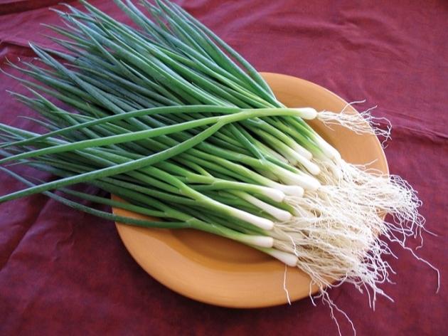 Ít người biết: Nhiều loại rau quen thuộc chứa “kháng sinh tự nhiên”, rất tốt cho sức khỏe khi trời lạnh- Ảnh 5.
