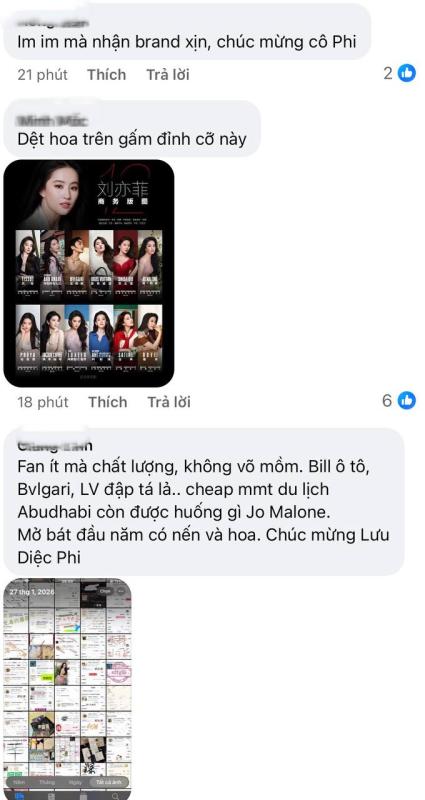 Lưu Diệc Phi làm nên lịch sử- Ảnh 3.