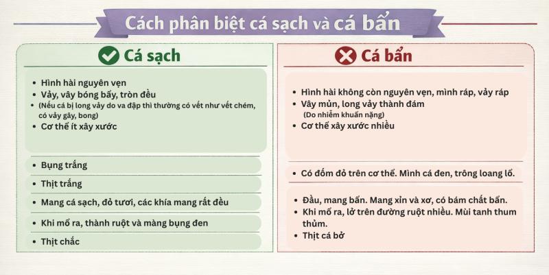 4 loại cá "nuôi" tế bào ung thư nếu ăn quá nhiều nhưng không phải ai cũng biết- Ảnh 5.