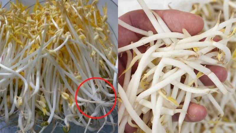 Cảnh báo: 6 loại rau nên tránh mua vì ít dinh dưỡng, thậm chí gây hại sức khỏe, người bán rau cũng không dám ăn- Ảnh 2.