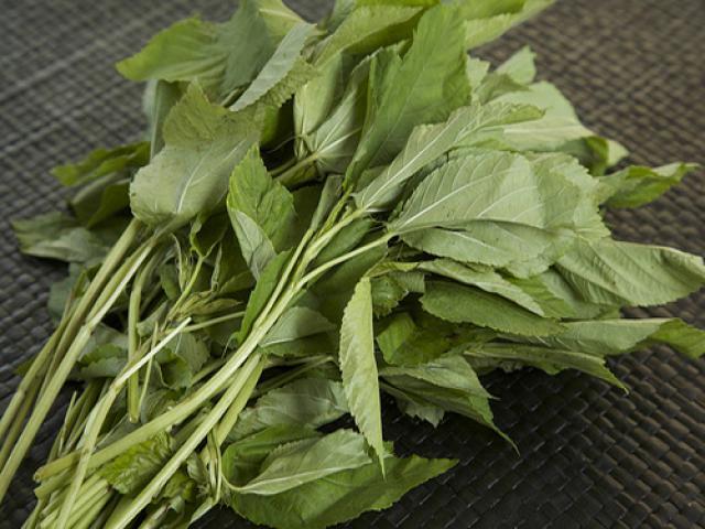 Việt Nam có loại rau nhiều sắt hơn thịt bò: Bổ tim, ngừa ung thư nhưng nhiều người chê không ăn- Ảnh 2.
