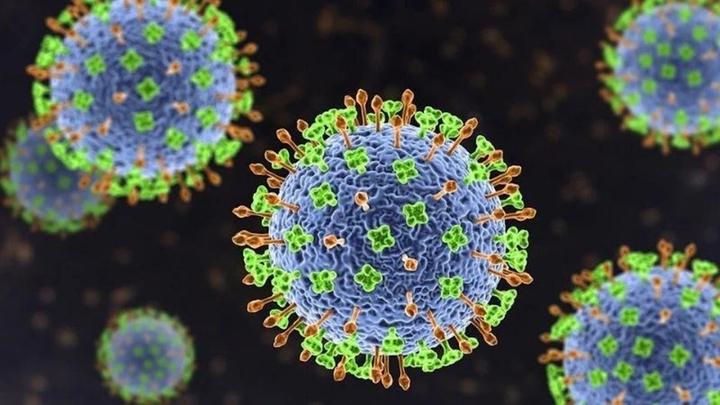 Chuyên gia: Virus Nipah khó lây lan rộng như COVID-19- Ảnh 1.