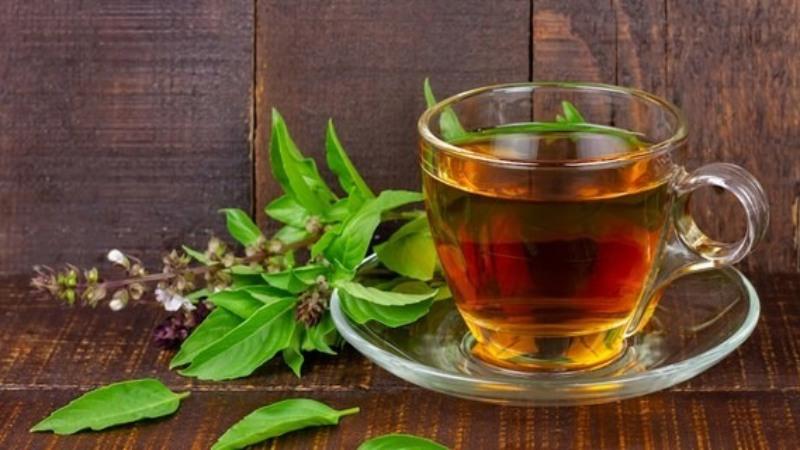Loại rau là "nữ hoàng của các loại thảo dược" có nhiều lợi ích cho sức khỏe- Ảnh 2.